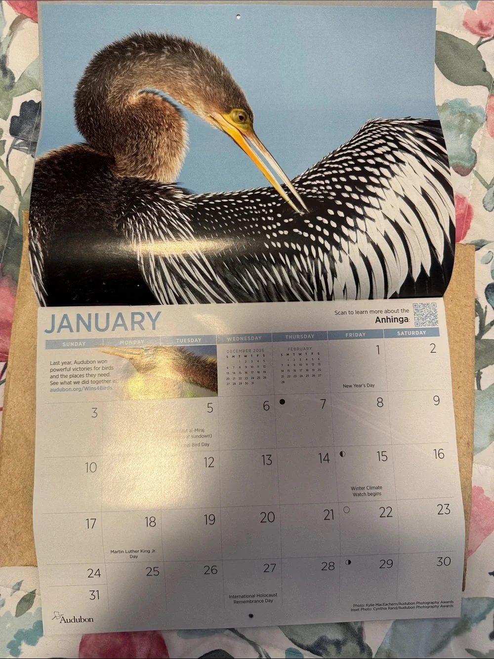 Protecting Birds and Nature 2027 Calendar